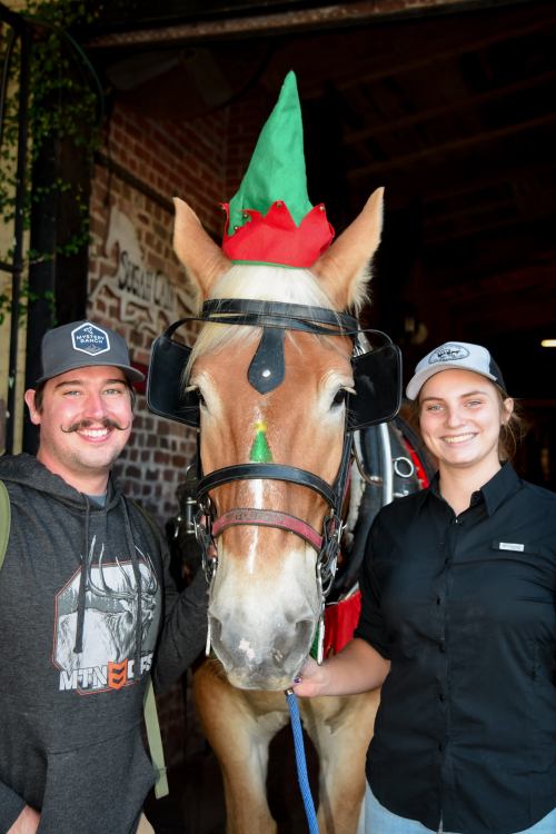 A man and a woman pose with a horse wearing a festive green and red hat, smiling in a rustic setting.