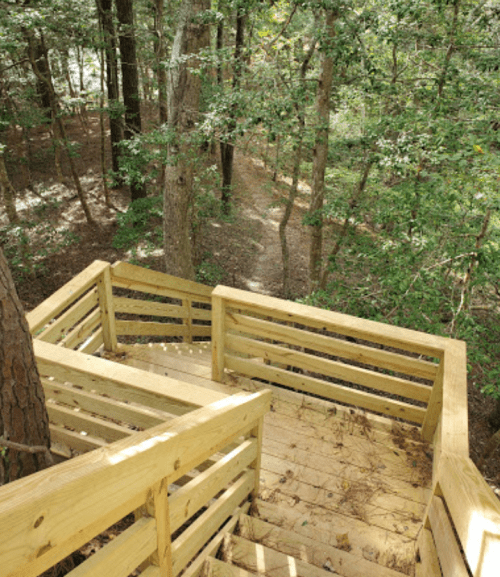 Wooden stairs lead down through a forest, surrounded by trees and a visible path in the background.