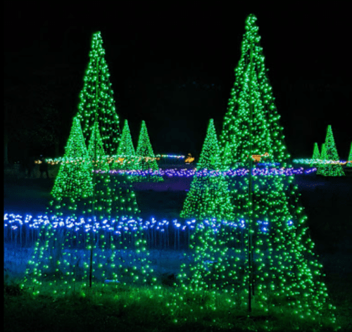 A nighttime scene featuring illuminated green and blue Christmas trees adorned with colorful lights.