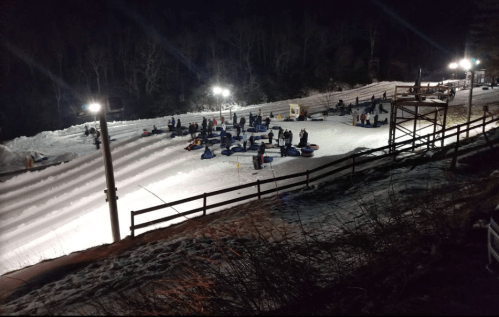 A snowy tubing hill at night, with people enjoying the activity under bright lights and a wooded backdrop.