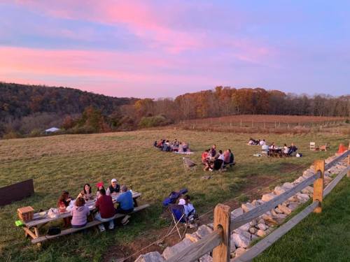 A group of people enjoying a picnic on a grassy field at sunset, surrounded by trees and a vineyard.
