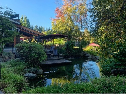 A serene outdoor scene featuring a pond, lush greenery, and a wooden deck with seating under a clear blue sky.