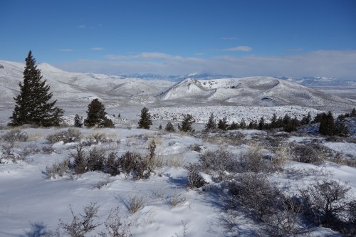Snow-covered landscape with rolling hills, sparse trees, and a clear blue sky in the background.