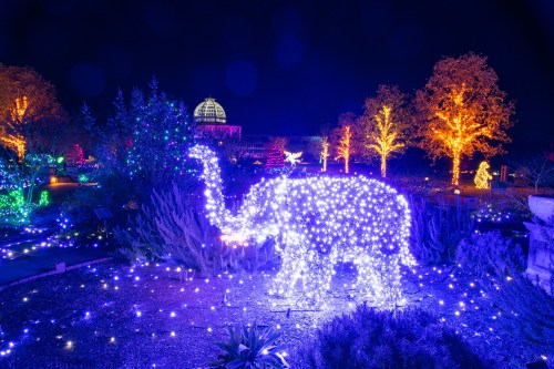 A glowing elephant made of lights stands amidst colorful holiday decorations in a nighttime garden setting.