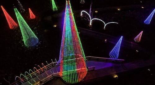 Colorful illuminated Christmas trees in various shapes and sizes, glowing in a dark outdoor setting.
