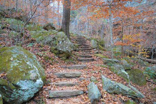A stone staircase winds through a forest with autumn leaves and rocky terrain.