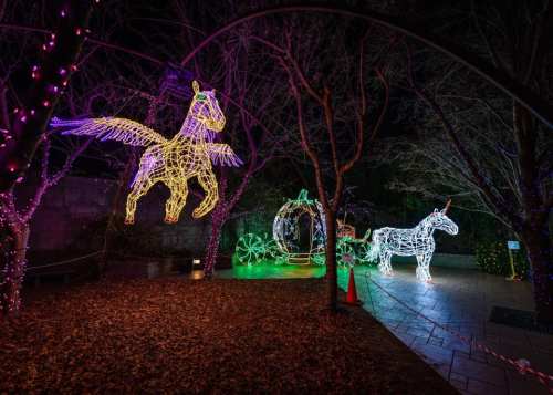 Colorful holiday lights depict a flying horse and a unicorn near a glowing pumpkin carriage in a nighttime setting.