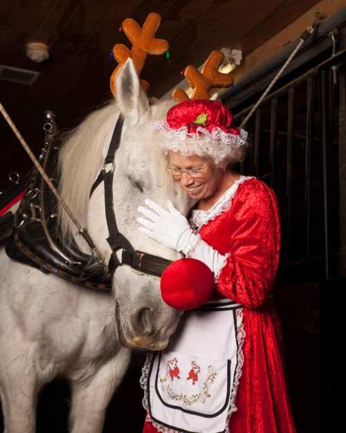 A woman in a festive red dress and reindeer antlers smiles while affectionately leaning against a white horse.
