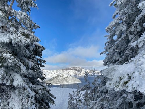 A snowy landscape framed by evergreen trees, overlooking a lake and mountains under a blue sky with wispy clouds.