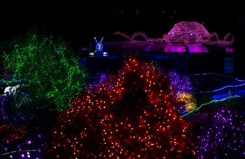 Colorful holiday lights illuminate trees and a large octopus sculpture against a dark night sky.