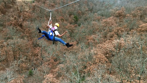 A person zip-lining over a forest of brown trees, wearing a helmet and harness, with arms outstretched in excitement.