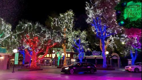 Colorful trees adorned with festive lights at night in a park, with a car parked nearby.