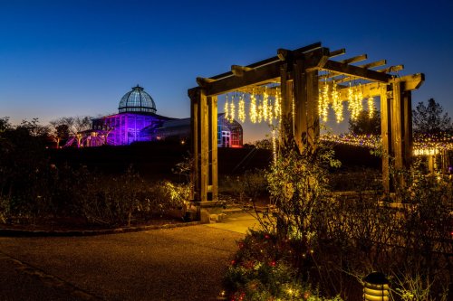 A garden at dusk with illuminated structures and a conservatory in the background, adorned with colorful lights.