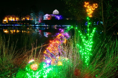 Colorful lights illuminate a garden and pond at night, with a greenhouse in the background reflecting on the water.