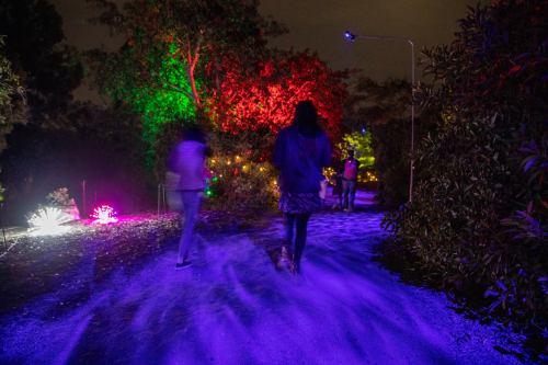 People walking along a path illuminated by colorful lights in a nighttime garden setting.