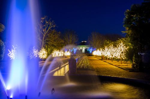 A nighttime garden scene with illuminated trees and a fountain, creating a serene and festive atmosphere.