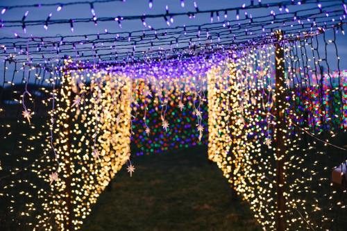 A pathway illuminated by colorful string lights, creating a festive and enchanting atmosphere.