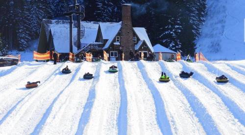 A snowy hill with people tubing down, a cozy lodge in the background surrounded by trees.