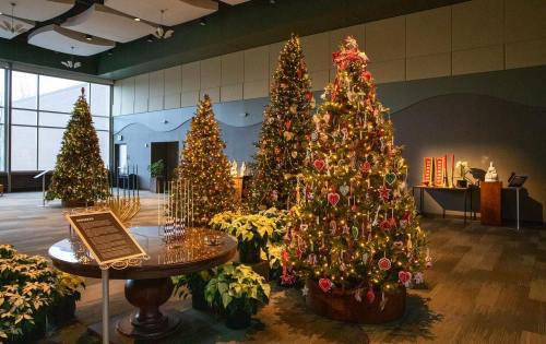 A festive display of decorated Christmas trees in a spacious room, with holiday decorations and plants.