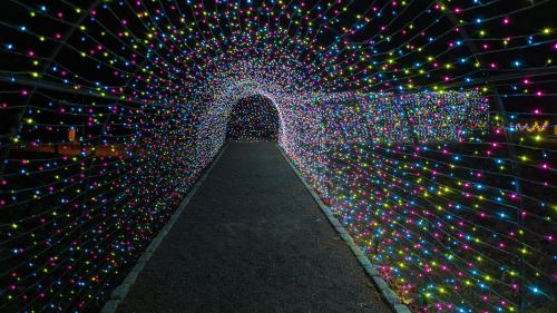A colorful tunnel of lights with vibrant, multicolored bulbs illuminating a dark pathway.