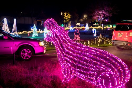 A brightly lit pink dinosaur sculpture surrounded by colorful holiday lights at night.