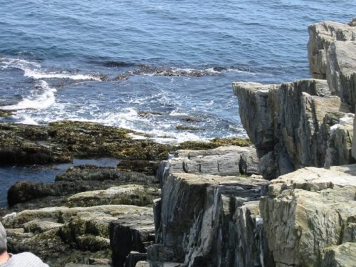 Rocky shoreline with waves gently lapping against the rocks and seaweed visible in the water.