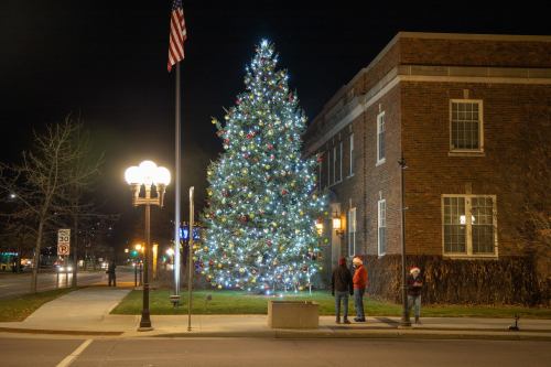 A brightly lit Christmas tree stands in a park at night, with three people in winter attire admiring it nearby.