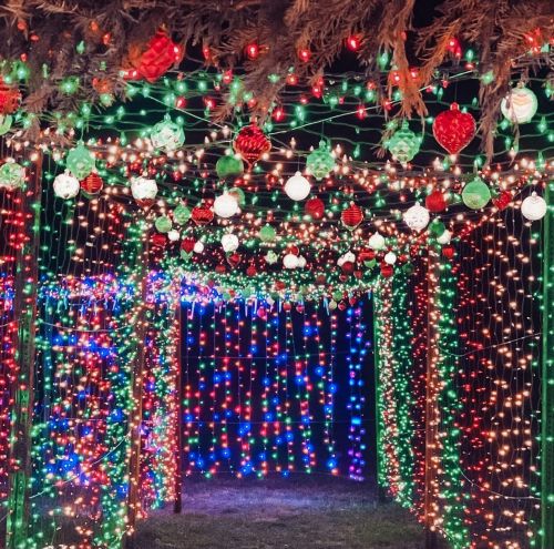 A festive display of colorful holiday lights creating a vibrant, illuminated pathway.