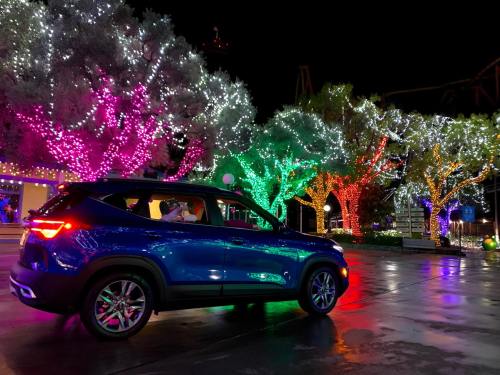 A blue SUV parked near brightly lit trees with colorful lights at night.
