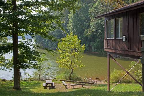 A serene lakeside scene featuring a wooden cabin, picnic table, and lush greenery along the water's edge.