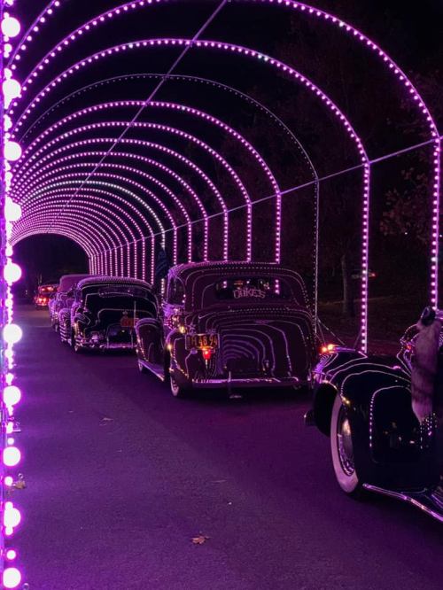 A line of vintage cars illuminated by vibrant purple lights in a tunnel-like setting at night.
