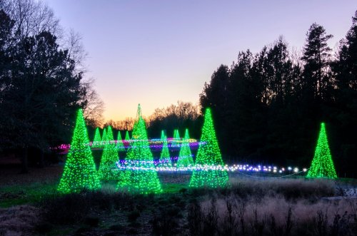A festive display of illuminated green Christmas trees against a sunset sky, surrounded by colorful lights.