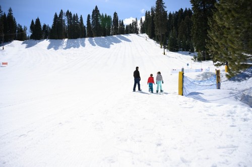A person and two children walk on a snowy slope surrounded by tall trees under a clear blue sky.