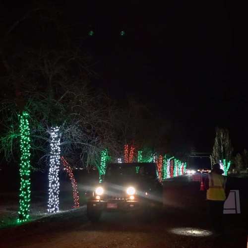 A vehicle drives through a festive display of trees lit with red, green, and white lights at night.