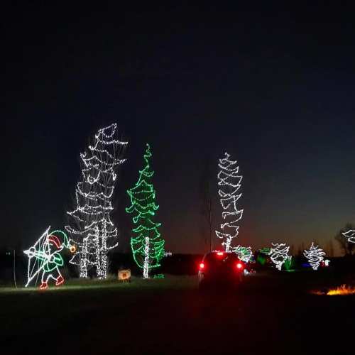 Colorful Christmas lights illuminate trees and a festive figure in a nighttime scene, with a car in the foreground.