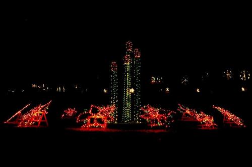 Colorful holiday lights illuminate a dark park, featuring cacti and festive decorations.