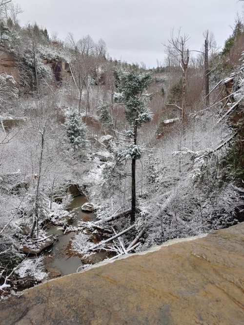 A snowy landscape with a creek, trees, and rocky terrain, surrounded by a winter forest.