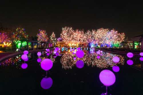 A vibrant display of colorful lights and glowing spheres reflected in a tranquil pond at night.