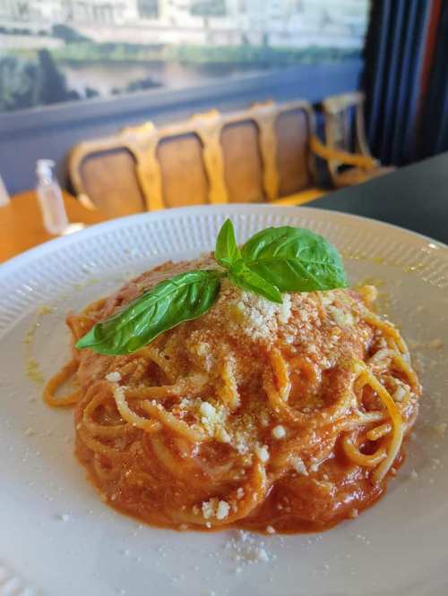 A plate of spaghetti topped with tomato sauce, grated cheese, and fresh basil leaves, set against a blurred background.