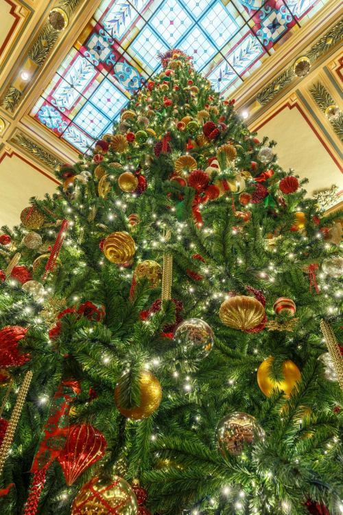 A tall, decorated Christmas tree with colorful ornaments and lights, viewed from below, under a stained glass ceiling.
