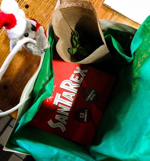 A gift bag containing a red mug labeled "Santa Rex" and a small bouquet wrapped in brown paper.