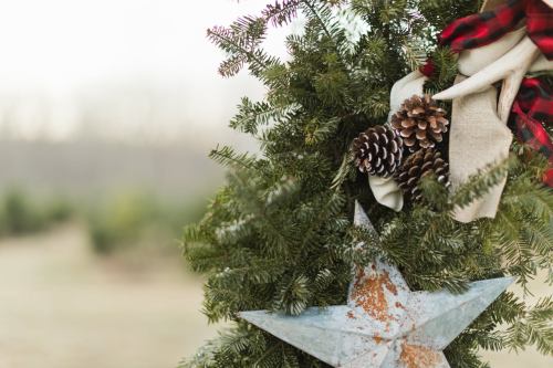 A close-up of a festive wreath featuring pinecones, greenery, and a rustic star ornament, set in a blurred outdoor background.