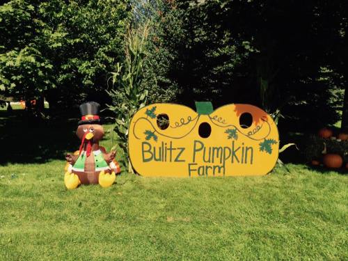 A colorful sign for Bulitz Pumpkin Farm with a festive turkey decoration beside it, set in a grassy area.
