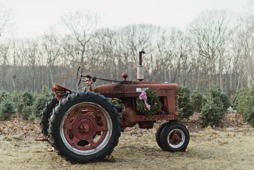 A vintage red tractor adorned with a wreath, set against a backdrop of evergreen trees in a winter landscape.