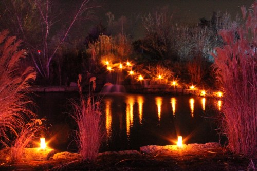 A serene pond at night, illuminated by candles and surrounded by tall grasses, creating a tranquil atmosphere.