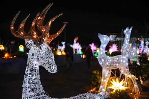 Illuminated reindeer decorations with colorful lights in a festive night setting.