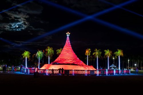 A brightly lit Christmas tree with a star on top, surrounded by palm trees and illuminated by beams of light at night.