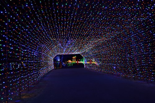 A colorful tunnel of twinkling lights creates a festive atmosphere at night.