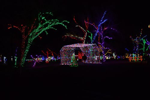 Colorful holiday lights illuminate trees and a structure in a festive nighttime scene.