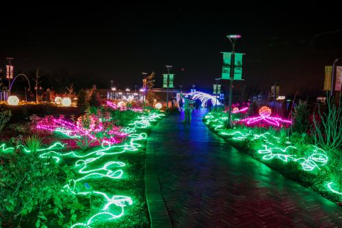 A brightly lit pathway adorned with colorful lights and decorations, surrounded by plants at night.